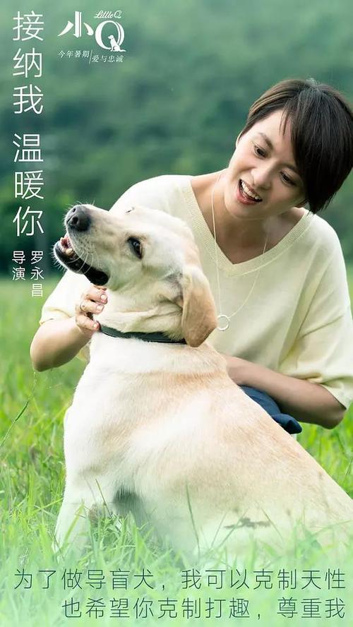 机动车登记证哪里能买到